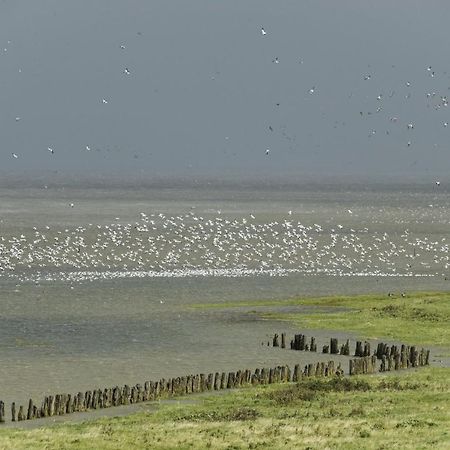 Bellemare Bungalow Lauwersmeer Mit Ueberdachte Veranda Und Eingezaeuntem Garten Anjum Bagian luar foto
